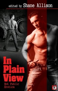Cover of In Plain View